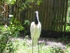 Belize 049